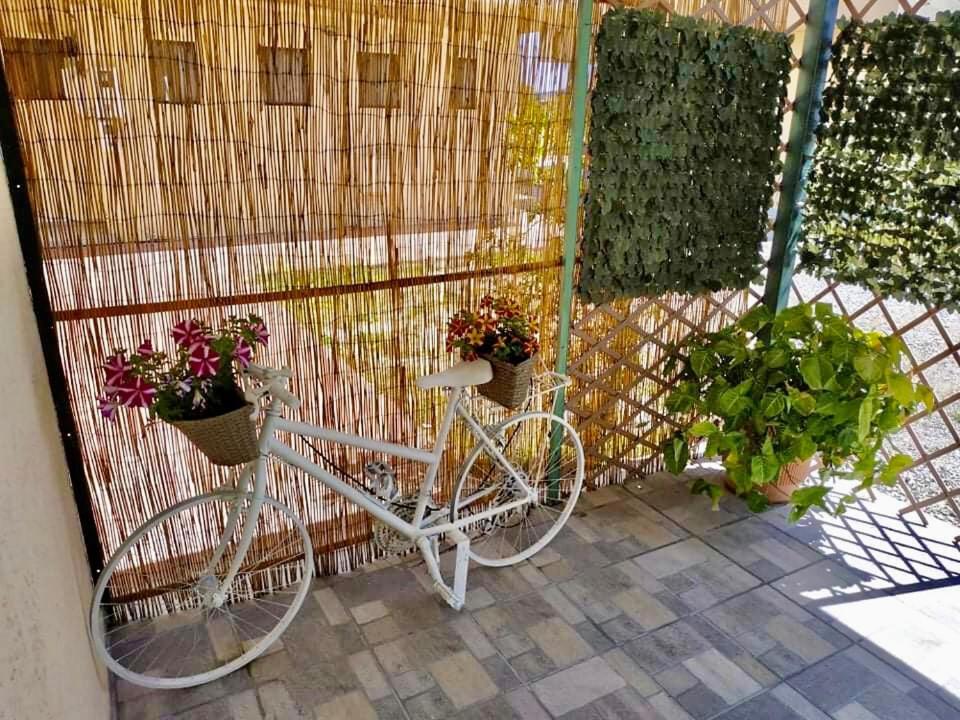 Casa Georgia Apartment *